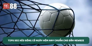 Tips Soi Kèo Bóng Cỏ Ngày Hôm Nay