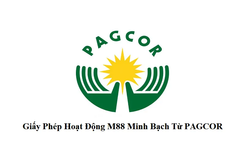 Tính pháp lý và giấy phép hoạt động 