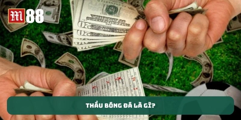 Thầu bóng đá là gì?