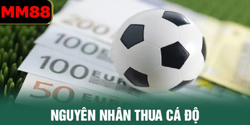 Làm gì khi thua cá độ bóng đá chính là tìm ra lý do